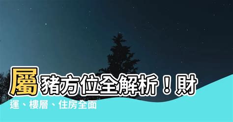 屬豬適合方位|【屬豬房子座向】屬豬人絕不能錯過的房子座向引路術：找到你的。